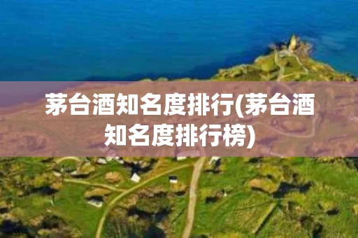 茅台酒知名度排行(茅台酒知名度排行榜)
