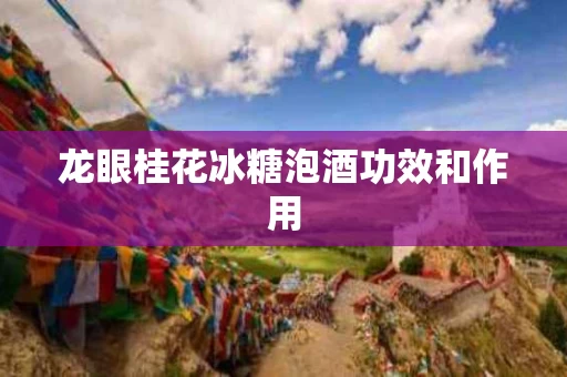 龙眼桂花冰糖泡酒功效和作用