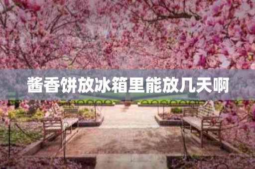 酱香饼放冰箱里能放几天啊