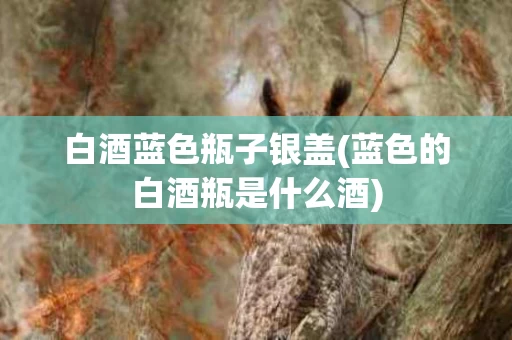 白酒蓝色瓶子银盖(蓝色的白酒瓶是什么酒)