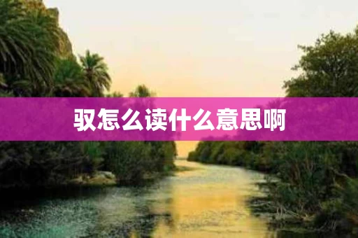 驭怎么读什么意思啊