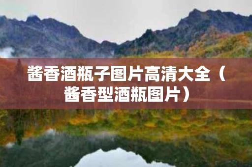 酱香酒瓶子图片高清大全（酱香型酒瓶图片）