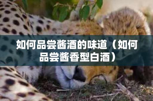 如何品尝酱酒的味道（如何品尝酱香型白酒）