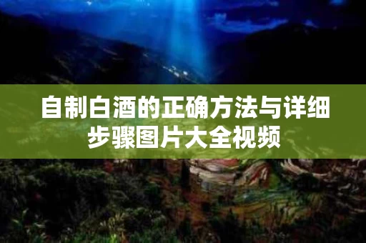自制白酒的正确方法与详细步骤图片大全视频