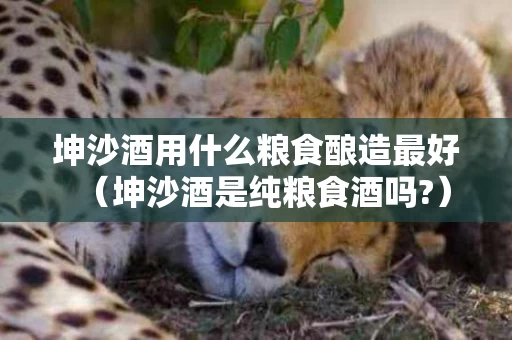 坤沙酒用什么粮食酿造最好（坤沙酒是纯粮食酒吗?）