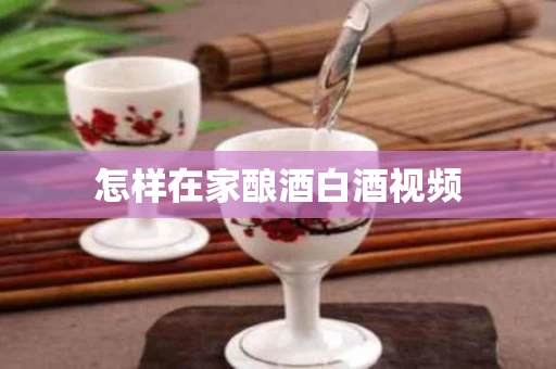 怎样在家酿酒白酒视频