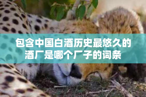 包含中国白酒历史最悠久的酒厂是哪个厂子的词条
