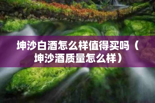 坤沙白酒怎么样值得买吗（坤沙酒质量怎么样）