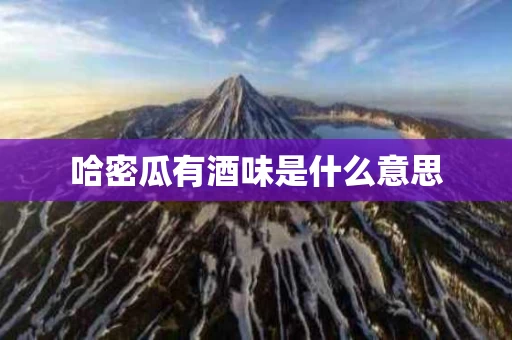 哈密瓜有酒味是什么意思