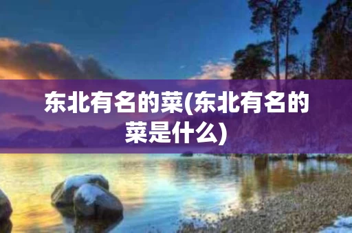 东北有名的菜(东北有名的菜是什么)