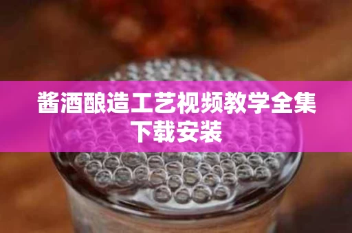酱酒酿造工艺视频教学全集下载安装