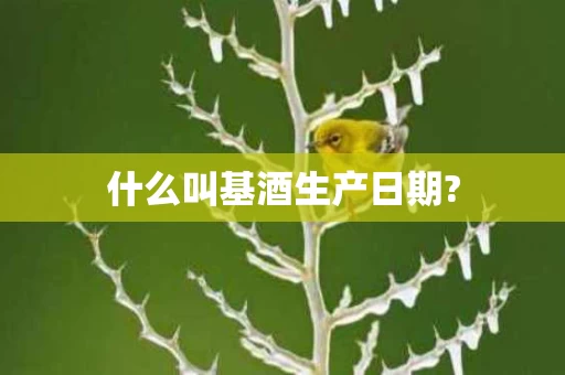 什么叫基酒生产日期?