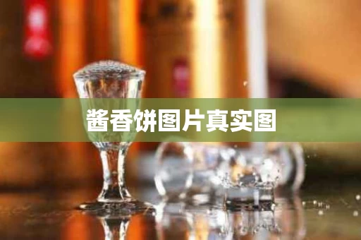 酱香饼图片真实图