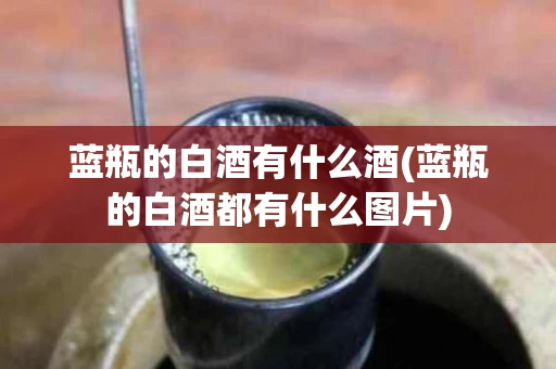 蓝瓶的白酒有什么酒(蓝瓶的白酒都有什么图片)