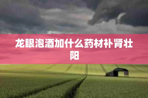 龙眼泡酒加什么药材补肾壮阳