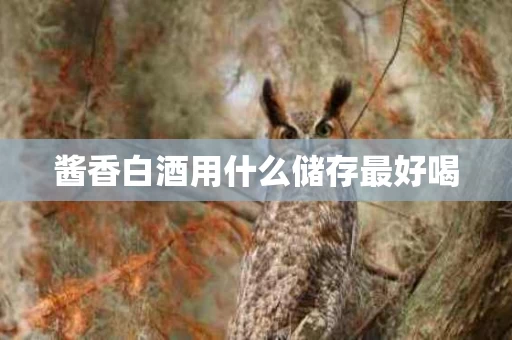酱香白酒用什么储存最好喝