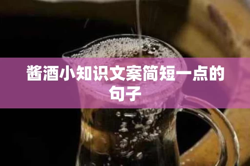 酱酒小知识文案简短一点的句子