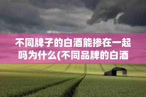 不同牌子的白酒能掺在一起吗为什么(不同品牌的白酒可以一起泡酒吗)