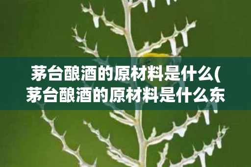 茅台酿酒的原材料是什么(茅台酿酒的原材料是什么东西)