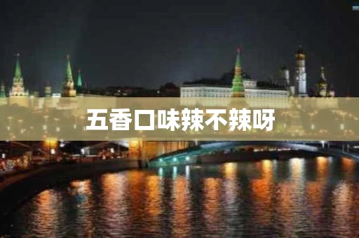 五香口味辣不辣呀