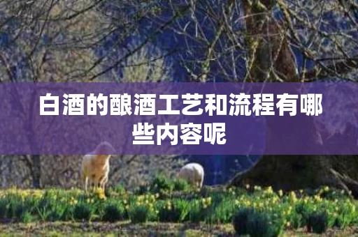 白酒的酿酒工艺和流程有哪些内容呢