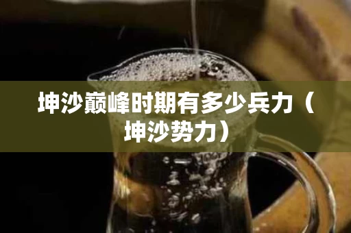 坤沙巅峰时期有多少兵力（坤沙势力）