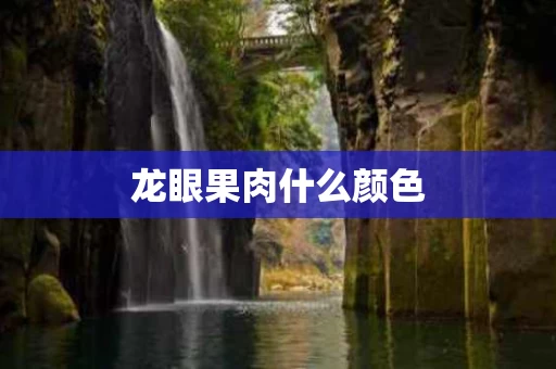 龙眼果肉什么颜色