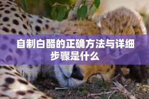 自制白醋的正确方法与详细步骤是什么