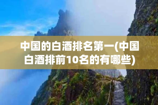 中国的白酒排名第一(中国白酒排前10名的有哪些)