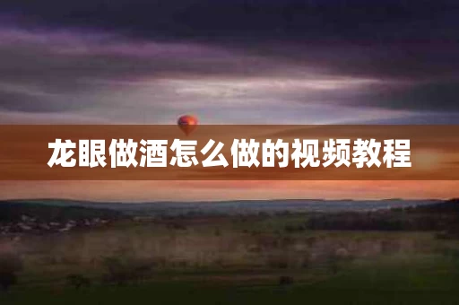 龙眼做酒怎么做的视频教程