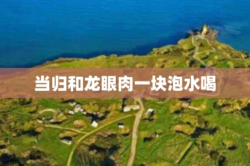 当归和龙眼肉一块泡水喝