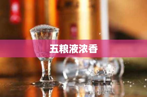五粮液浓香