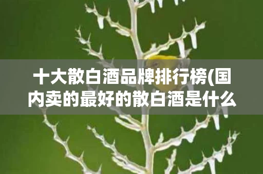 十大散白酒品牌排行榜(国内卖的最好的散白酒是什么)