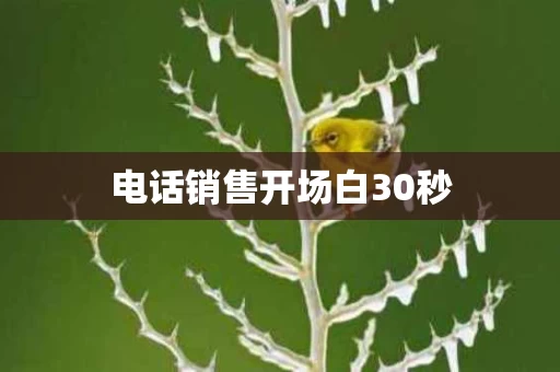 电话销售开场白30秒