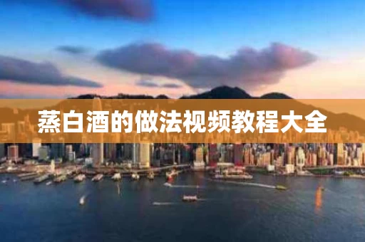 蒸白酒的做法视频教程大全