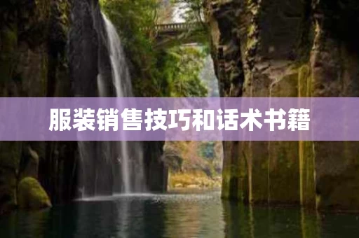 服装销售技巧和话术书籍