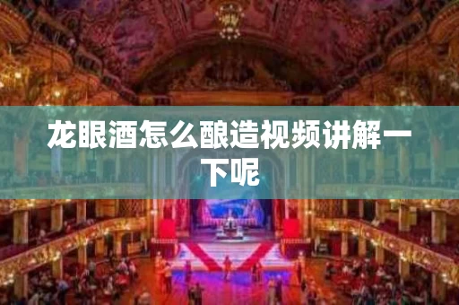 龙眼酒怎么酿造视频讲解一下呢
