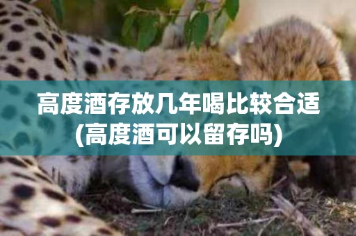 高度酒存放几年喝比较合适(高度酒可以留存吗)