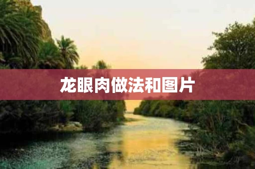龙眼肉做法和图片