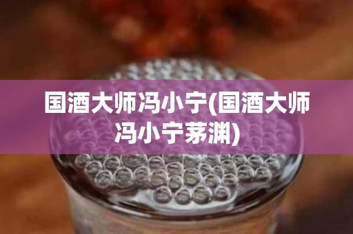 国酒大师冯小宁(国酒大师冯小宁茅渊)