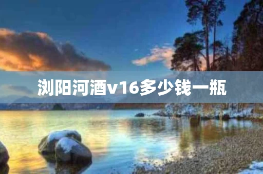 浏阳河酒v16多少钱一瓶