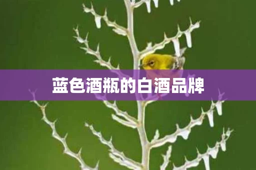 蓝色酒瓶的白酒品牌