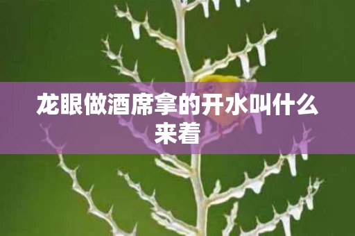龙眼做酒席拿的开水叫什么来着