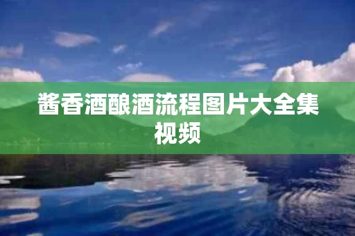 酱香酒酿酒流程图片大全集视频