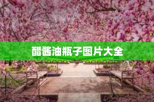 醋酱油瓶子图片大全