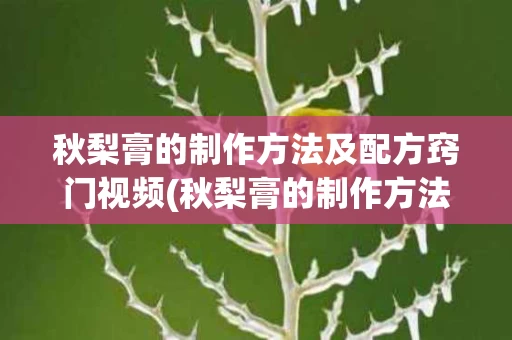 秋梨膏的制作方法及配方窍门视频(秋梨膏的制作方法及配方窍门视频教程)