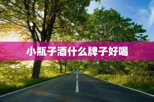 小瓶子酒什么牌子好喝