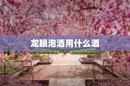龙眼泡酒用什么酒