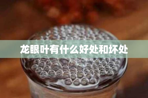 龙眼叶有什么好处和坏处