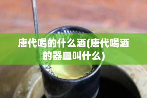 唐代喝的什么酒(唐代喝酒的器皿叫什么)